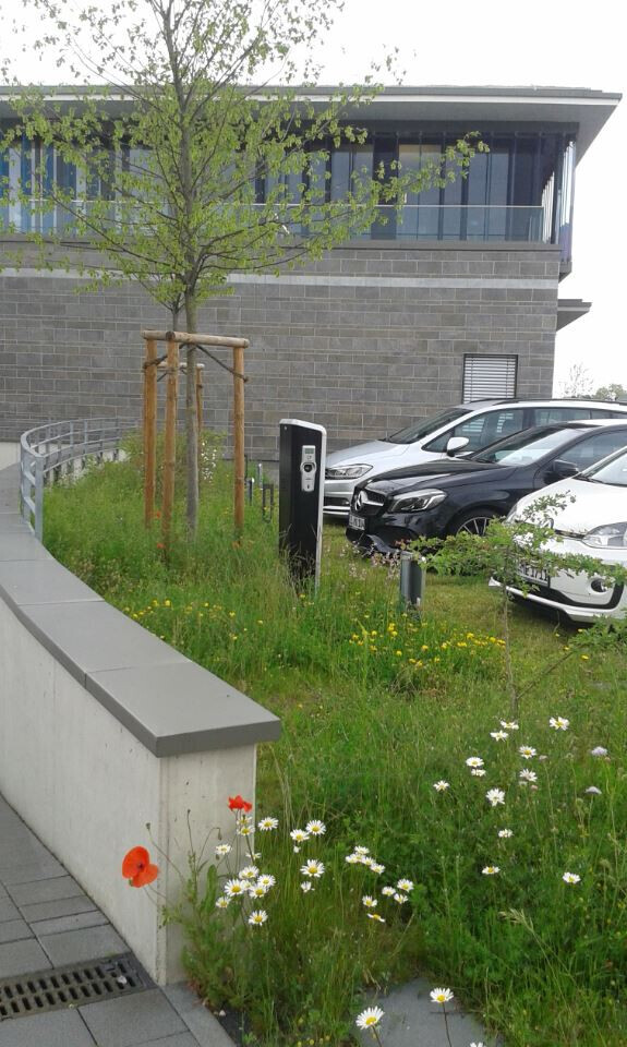 Bilder naturplan Landschaftsplanung Dipl.-Ing. S. Müllensiefen