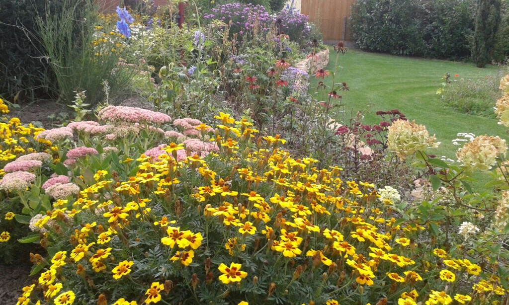 Bilder naturplan Landschaftsplanung Dipl.-Ing. S. Müllensiefen