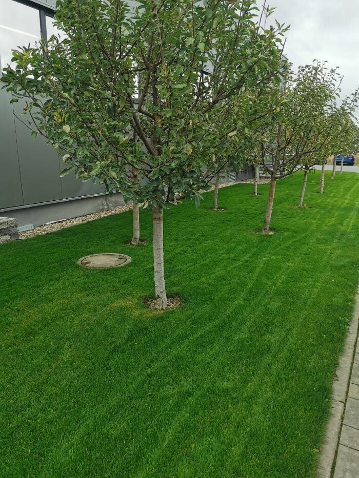 Bilder Garten- und Landschaftsbau Akbalik