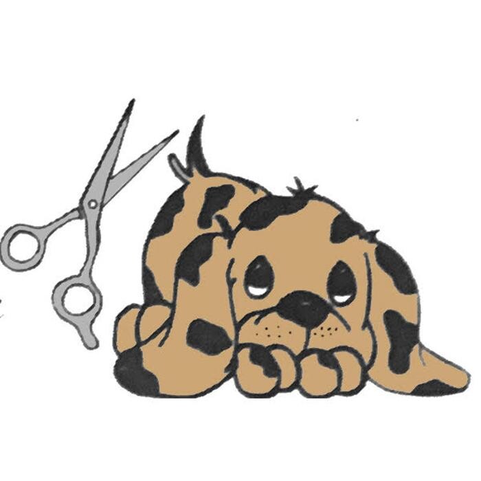 Bilder Balance of Animals