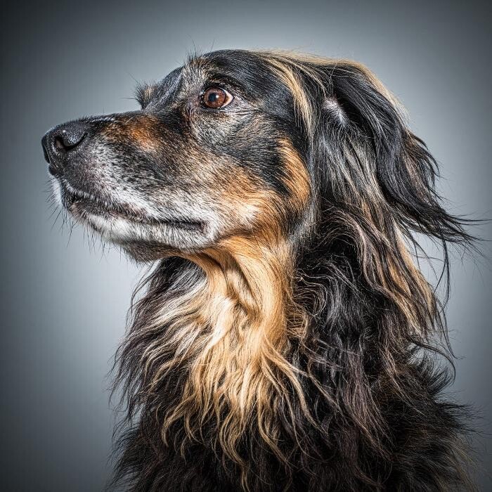 Bilder Meerfreiheit - Mehr als Fotografie