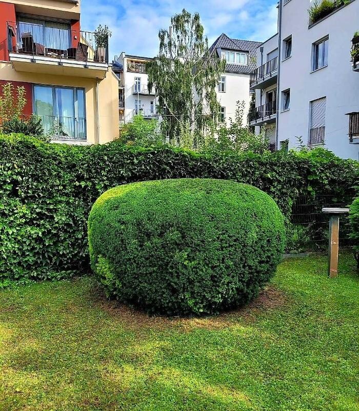 Bilder Enrico Rosenau Hausputz & Gartenpflege