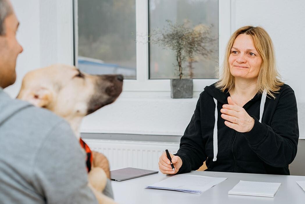 Bilder Biologisches Therapiezentrum für Hunde