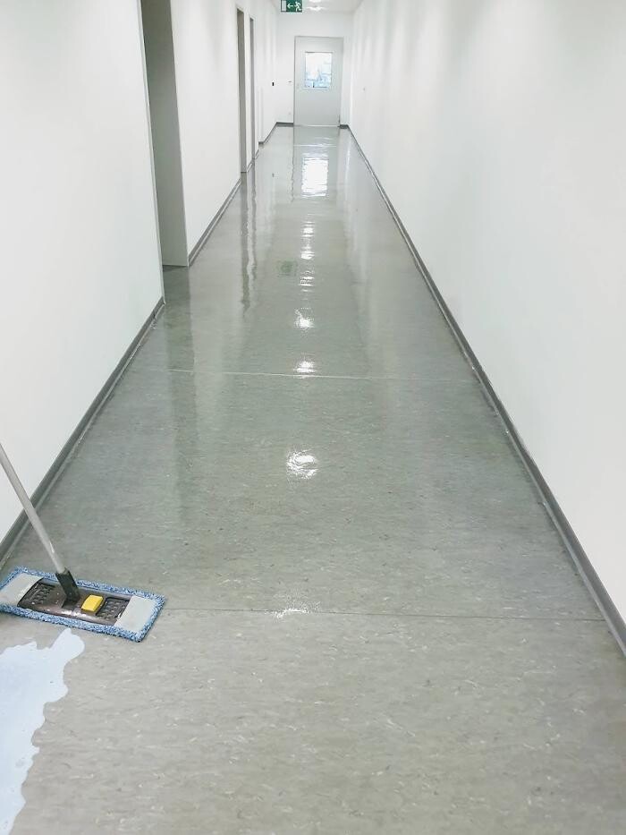 Bilder SauBär Gebäudedienste Domenico Trombetta Meisterbetrieb