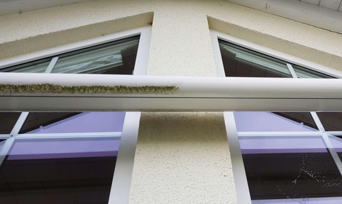 Bilder SauBär Gebäudedienste Domenico Trombetta Meisterbetrieb