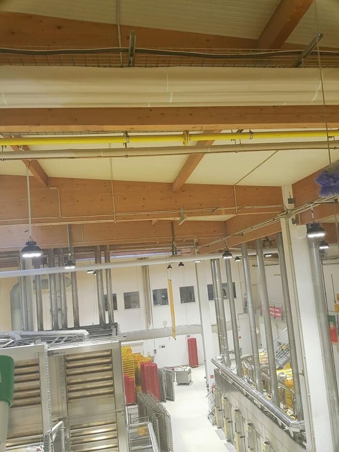 Bilder SauBär Gebäudedienste Domenico Trombetta Meisterbetrieb