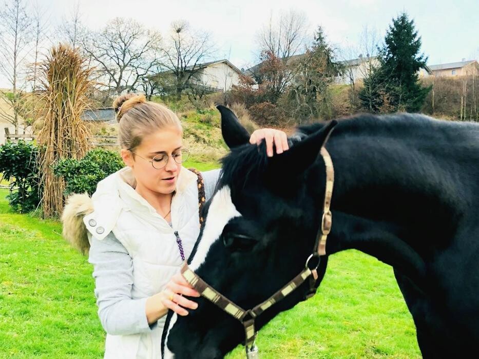 Bilder Passion und Pferd P&P