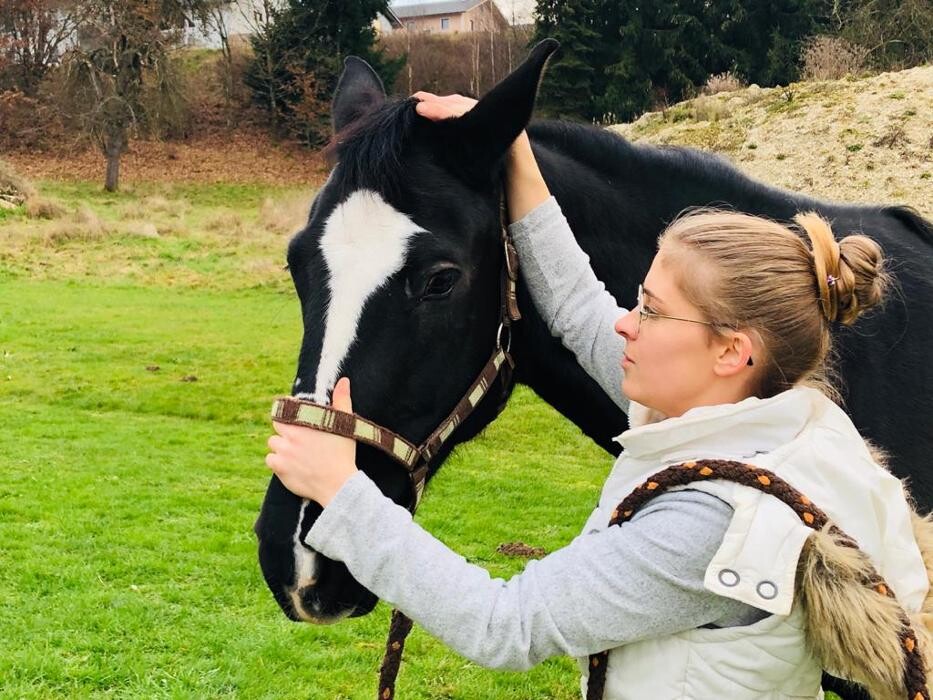 Bilder Passion und Pferd P&P