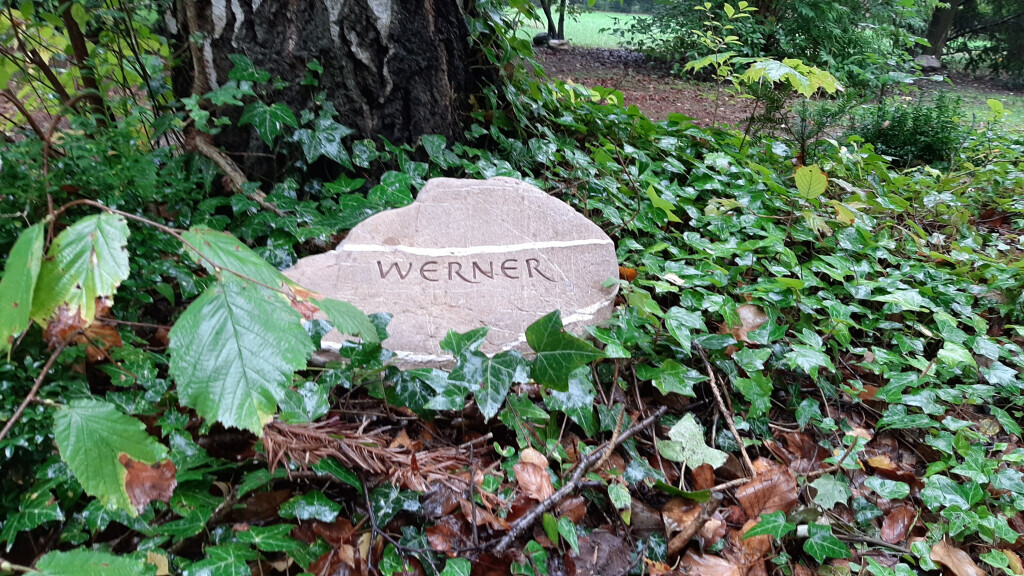 Bilder Feinhieb-Steinbildhauerei