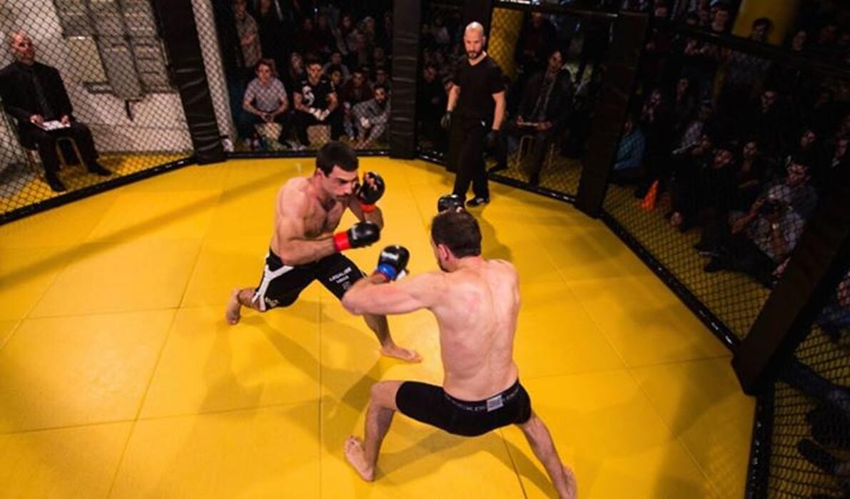 Bilder MMA Berlin