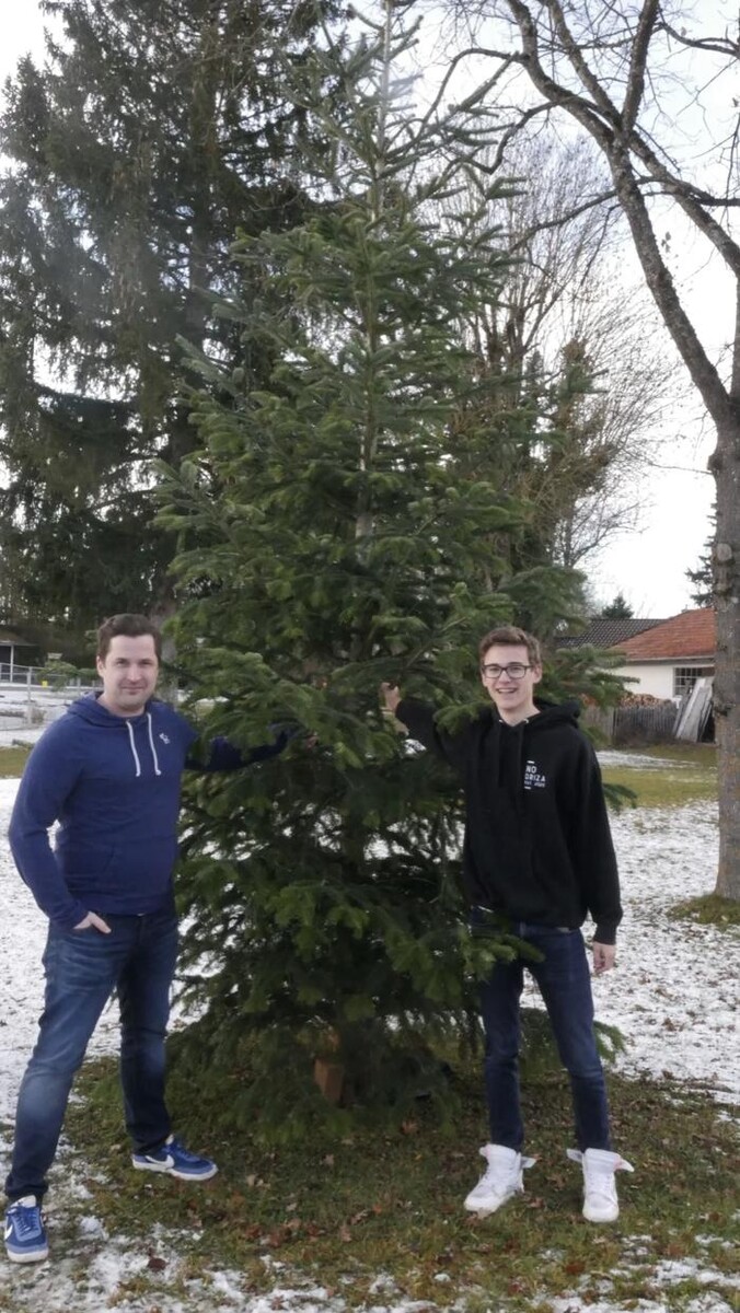 Bilder Christbaumabholung