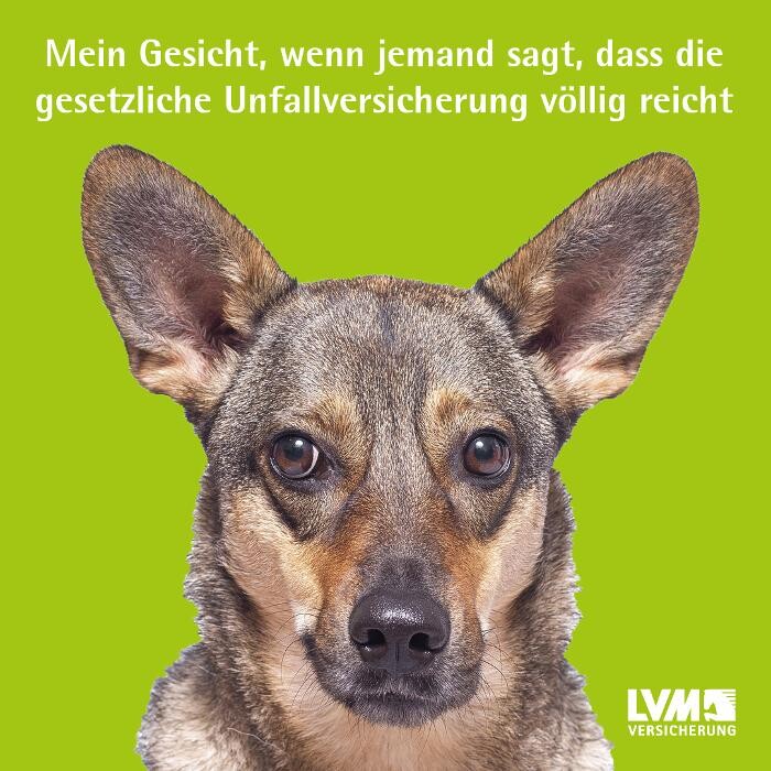 Bilder LVM Versicherung Thomas Grote - Versicherungsagentur