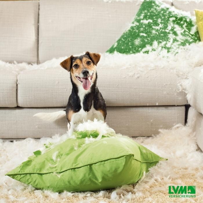 Bilder LVM Versicherung Karin Möllers - Versicherungsagentur