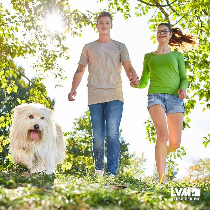 Bilder LVM Versicherung Zengin - Versicherungsagentur