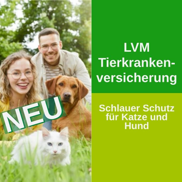 Bilder LVM Versicherung Nina Hüsing - Versicherungsagentur