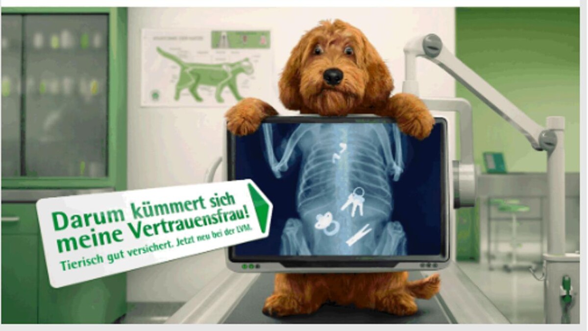 Bilder LVM Versicherung Nina Hüsing - Versicherungsagentur