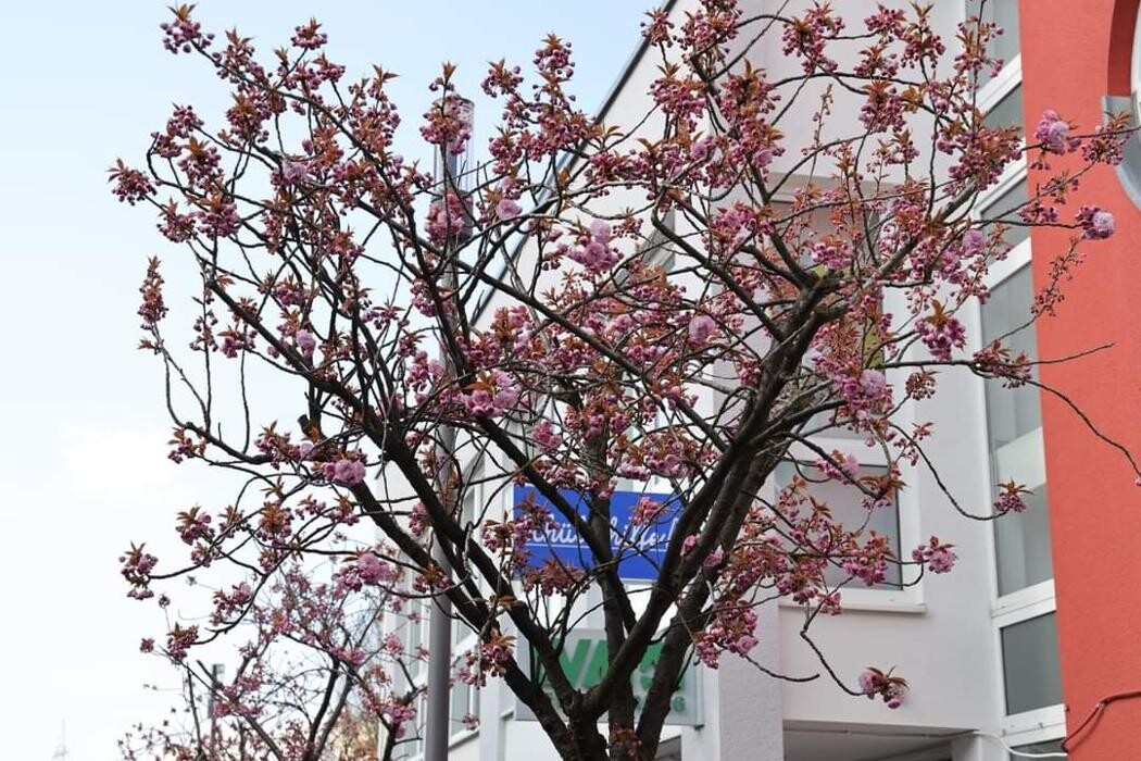 Bilder LVM Versicherung Helmut & Stefan Röhrig GbR - Versicherungsagentur