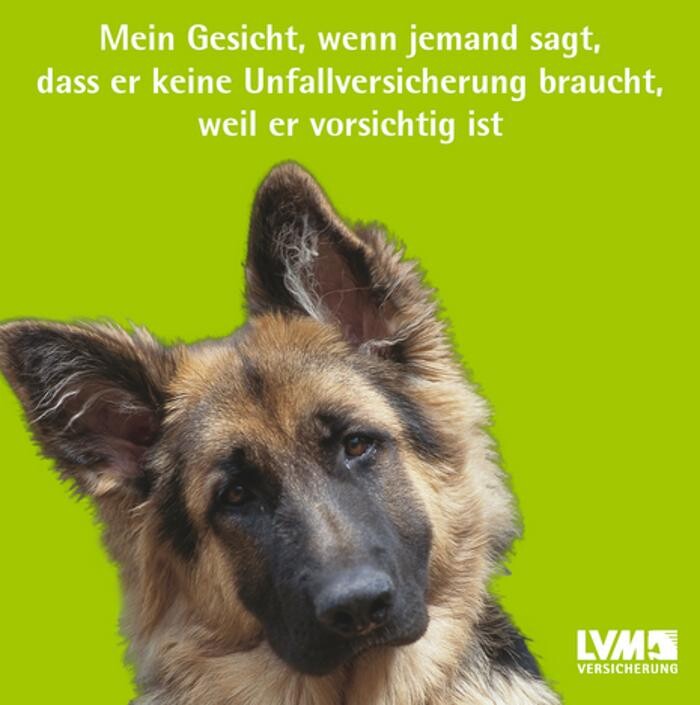 Bilder LVM Versicherung Jens Arndt - Versicherungsagentur