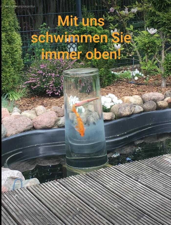 Bilder LVM Versicherung Hans-Hermann Dittmer - Versicherungsagentur