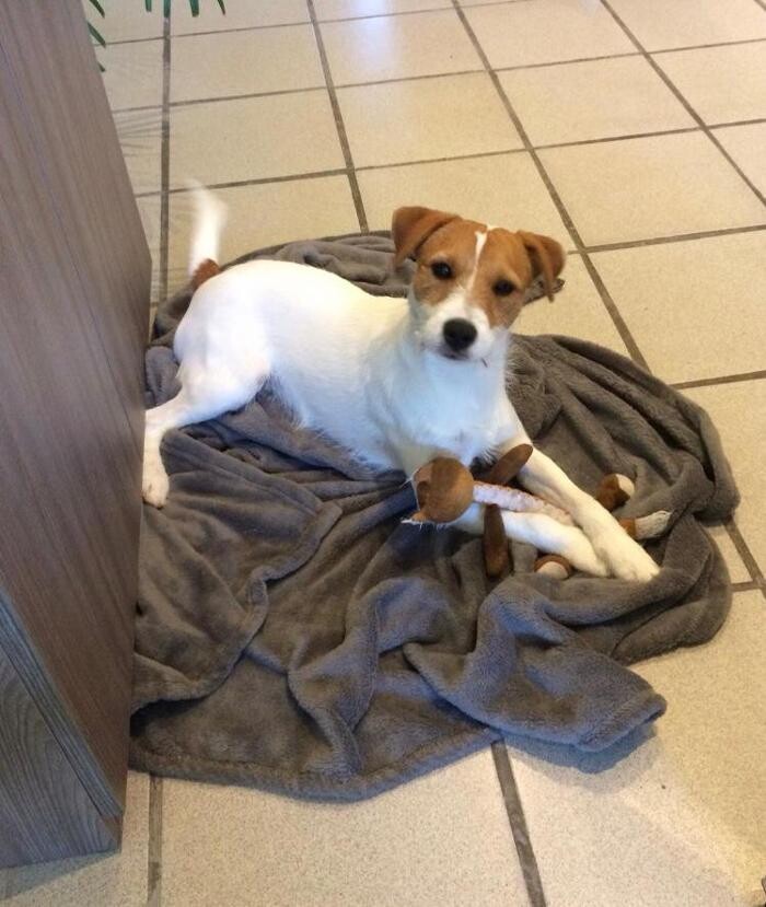 Bilder LVM Versicherung Carola Heinz - Versicherungsagentur