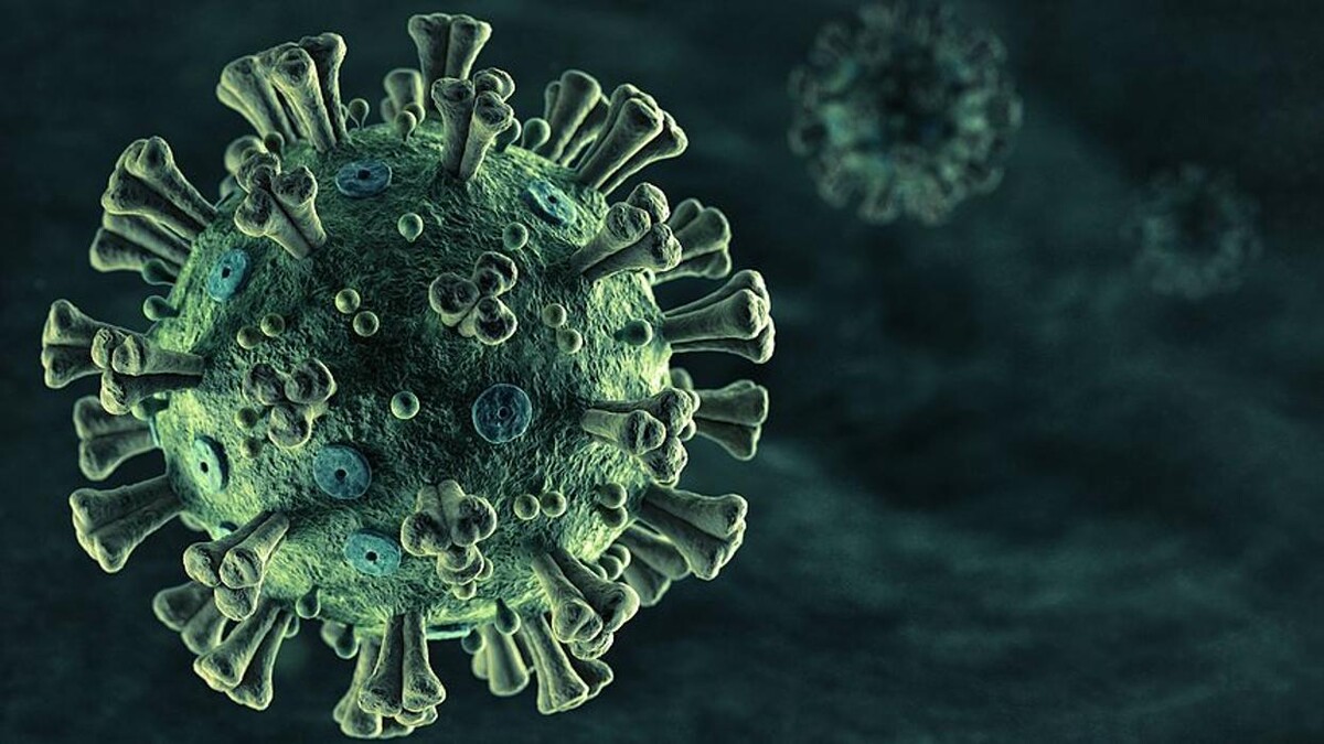 Bilder LVM Versicherung Pleininger & Wieners - Versicherungsagentur