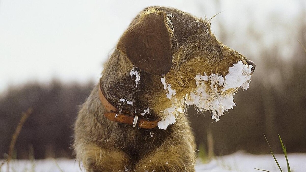 Bilder LVM Versicherung Langen GmbH - Versicherungsagentur
