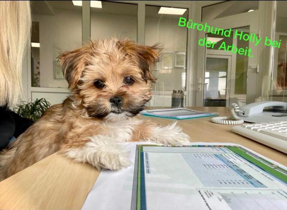 Bilder LVM Versicherung Dieter Sonnenberg - Versicherungsagentur