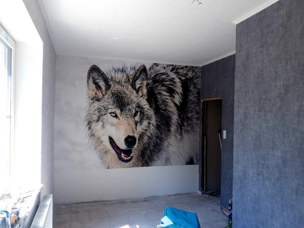 Bilder Daniel Schwarz Raumgestaltung