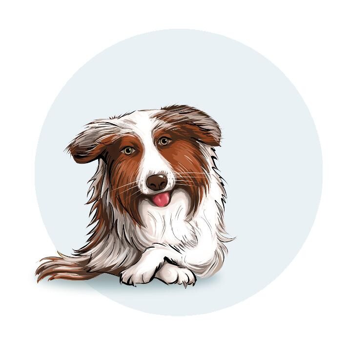 Ergotherapie Rode Logo