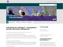 Website Screenshot St. Johanniskirche der Evangelischen Johannisgemeinde St. Johann-Wolfsheim