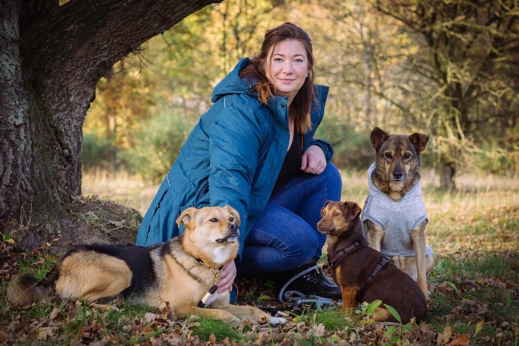 Bilder Altländer Hunde