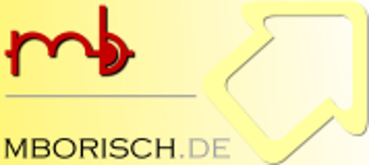 mborisch.de Unternehmensberatung Logo