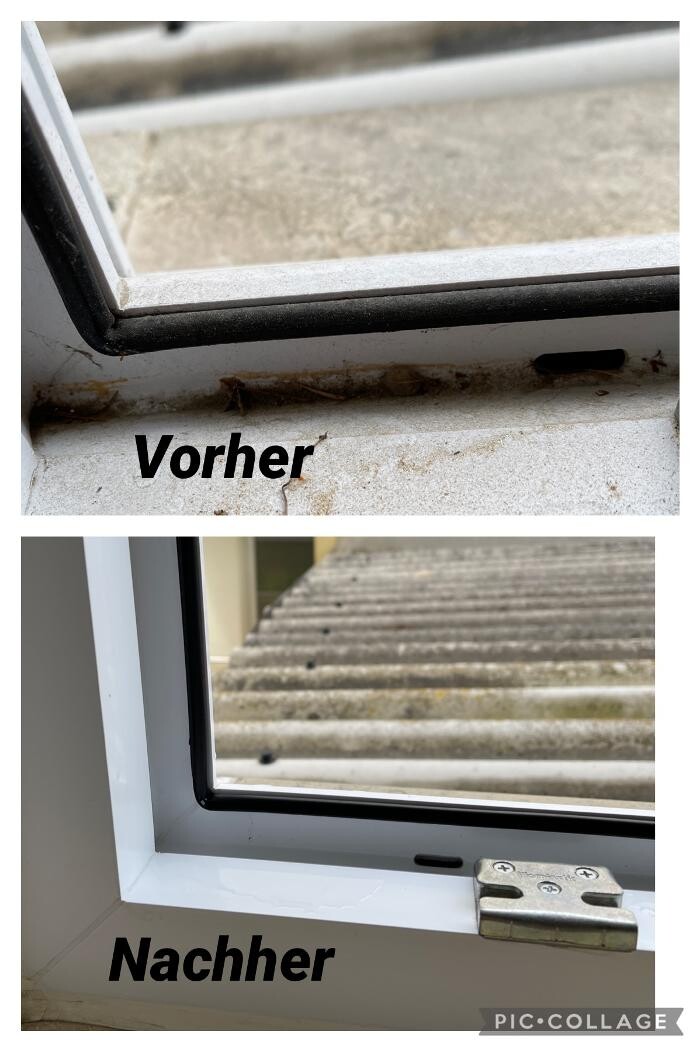 Bilder LRV Gebäudereinigung