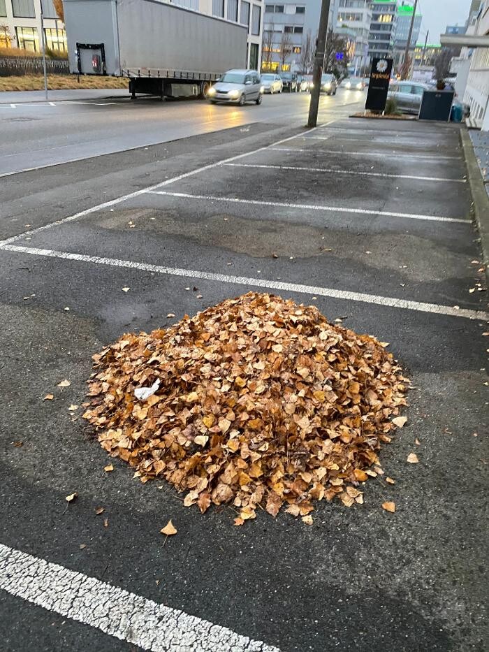 Bilder LRV Gebäudereinigung