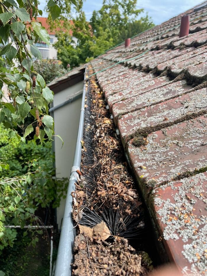 Bilder LRV Gebäudereinigung