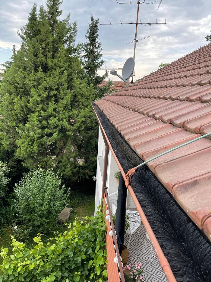 Bilder LRV Gebäudereinigung