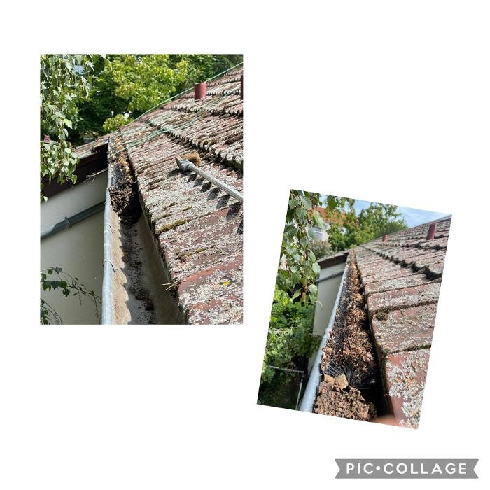 Bilder LRV Gebäudereinigung