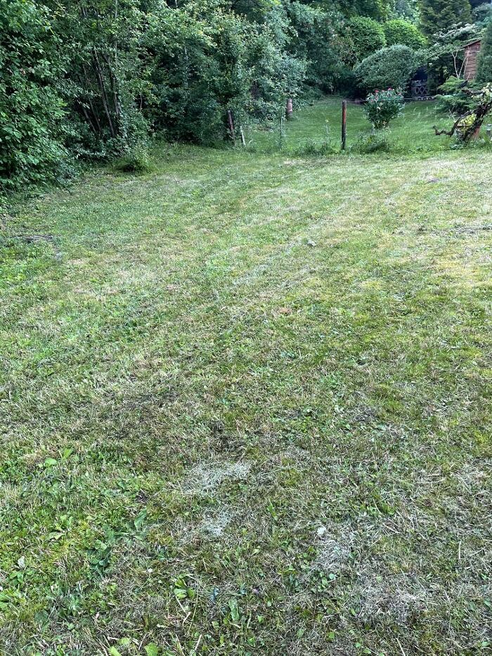 Bilder LRV Gebäudereinigung