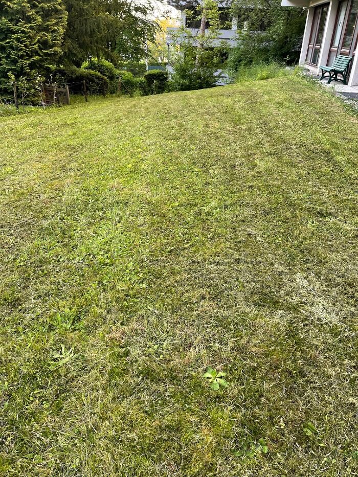 Bilder LRV Gebäudereinigung