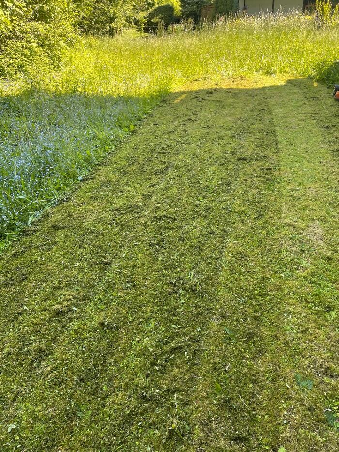 Bilder LRV Gebäudereinigung