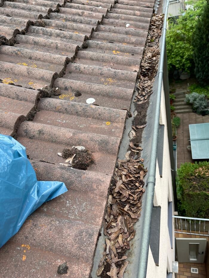 Bilder LRV Gebäudereinigung