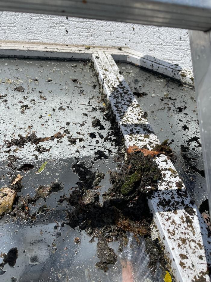 Bilder LRV Gebäudereinigung