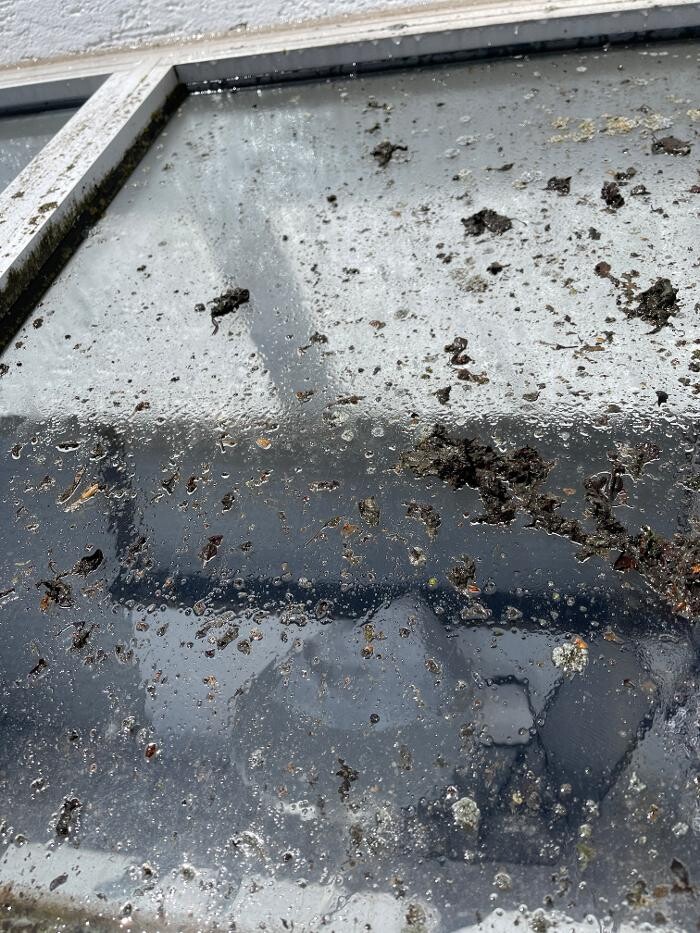 Bilder LRV Gebäudereinigung