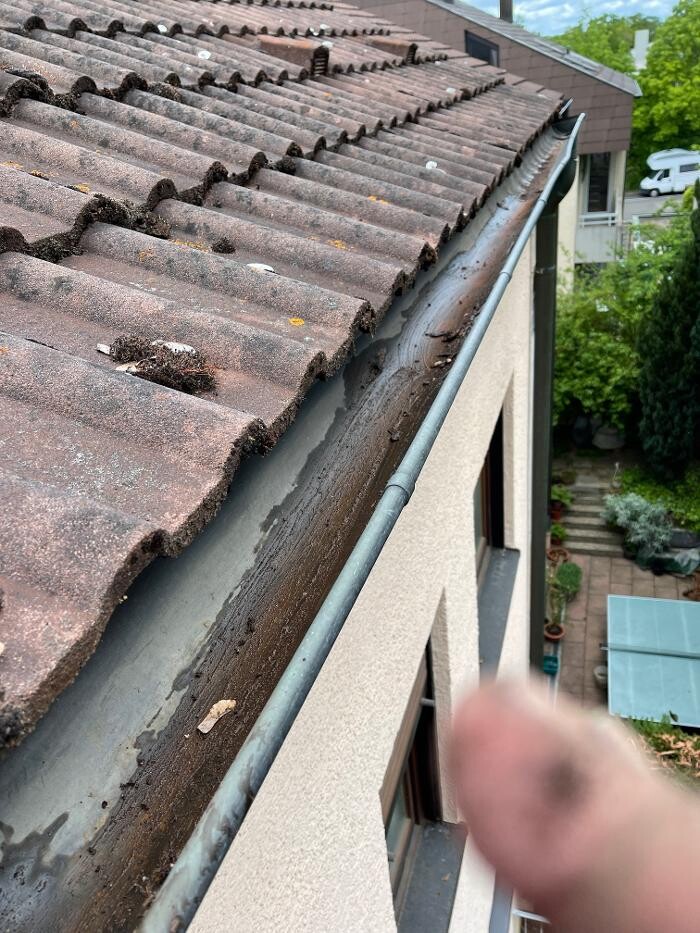 Bilder LRV Gebäudereinigung