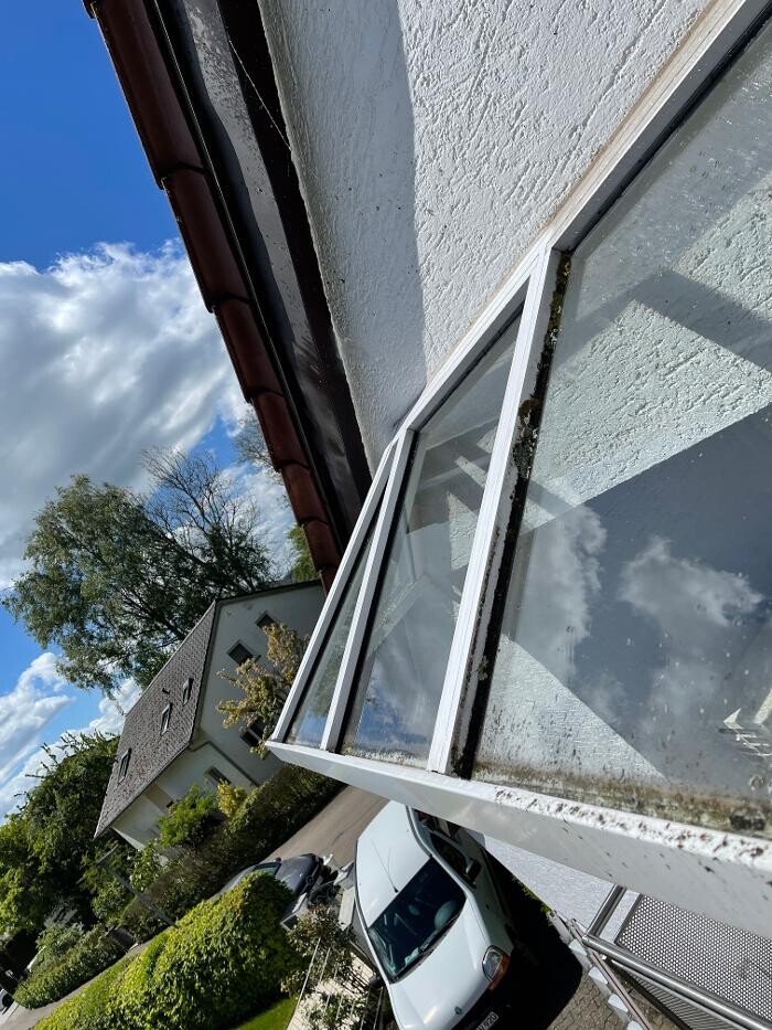 Bilder LRV Gebäudereinigung