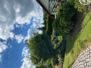 Bilder Haus- und Gartenservice - Mittelfranken Pavel Vostarek