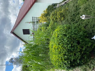 Bilder Haus- und Gartenservice - Mittelfranken Pavel Vostarek