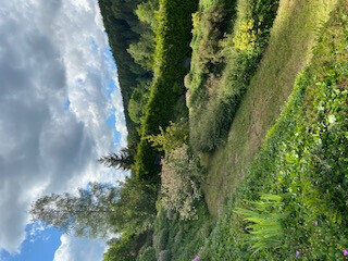 Bilder Haus- und Gartenservice - Mittelfranken Pavel Vostarek