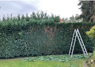 Bilder Haus- und Gartenservice - Mittelfranken Pavel Vostarek