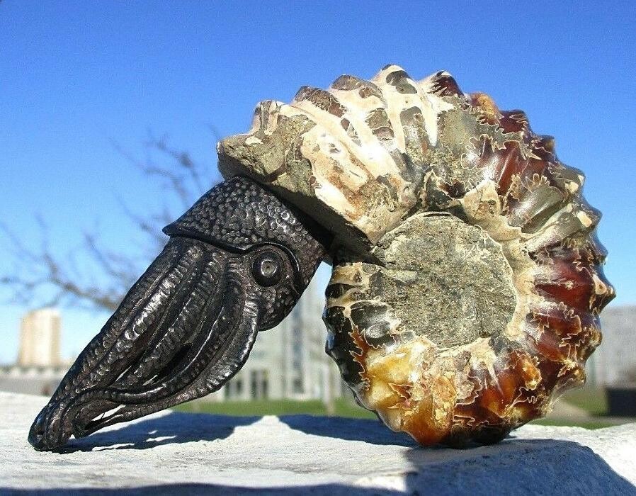 Bilder das-bernsteinzimmer